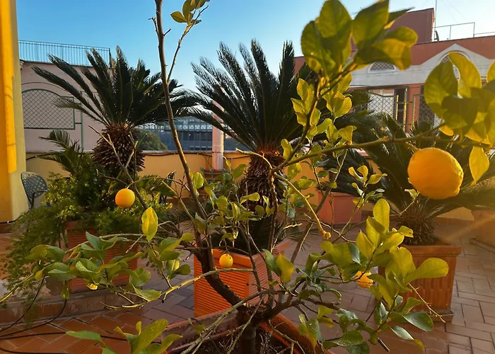 All Comfort Astoria Palace